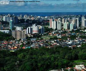 Rompicapo di Manaus, Brasile