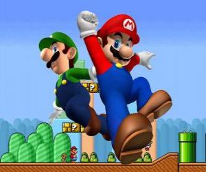 Rompicapo di Mario e suo fratello Luigi, i più famosi idraulici