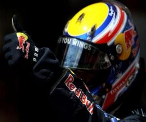 Rompicapo di Mark Webber - Red Bull - 2010 di Barcellona