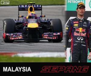 Rompicapo di Mark Webber - Red Bull - Gran Premio della Malesia 2013, 2º classificato