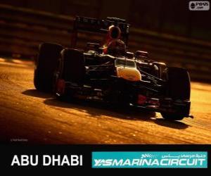 Rompicapo di Mark Webber - Red Bull - Gran Premio di Abu Dhabi 2013, 2º classificato