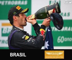 Rompicapo di Mark Webber - Red Bull - Grand Prix del Brasile 2013, 2º classificato