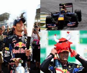 Rompicapo di Mark Webber - Red Bull - Interlagos, Gran Premio del Brasile 2010 (2 ° Classificato)