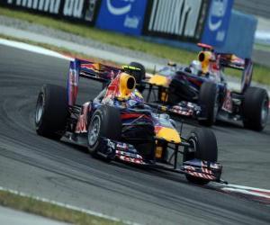 Rompicapo di Mark Webber - Red Bull - Istanbul 2010