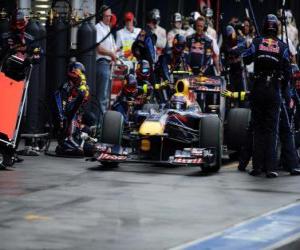 Rompicapo di Mark Webber - Red Bull - Melbourne 2010