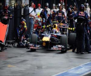 Rompicapo di Mark Webber - Red Bull - Melbourne 2010