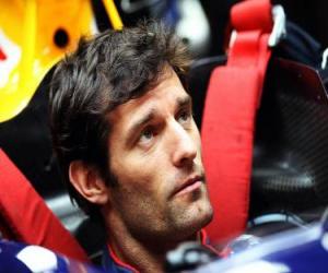 Rompicapo di Mark Webber - Red Bull - Shanghai 2010