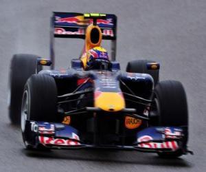 Rompicapo di Mark Webber - Red Bull - Shanghai 2010