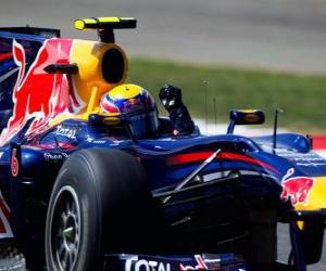 Rompicapo di Mark Webber - Red Bull - Silverstone 2010