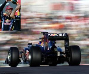 Rompicapo di Mark Webber - Red Bull - Suzuka 2010 (2 ° Classificato)