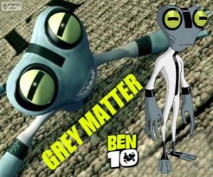 Rompicapo di Materia Grigia o Grey Matter, Ben 10