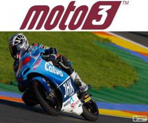 Rompicapo di Maverick Viñales, campione del mondo di Moto3, 2013