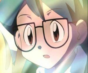Rompicapo di Max appare come un compagno di Ash Ketchum, è anche il fratello minore di maggio e si unì al gruppo Ash, maggio e allevatore di Pokémon Brock.