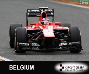 Rompicapo di Max Chilton - Marussia - Spa-Francorchamps, 2013