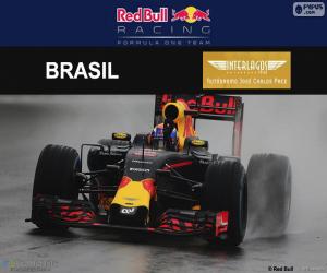 Rompicapo di Max Verstappen, GP Brasile 2016