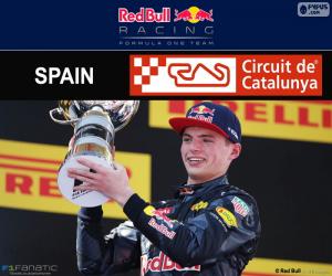 Rompicapo di Max Verstappen, G.P Spagna 2016