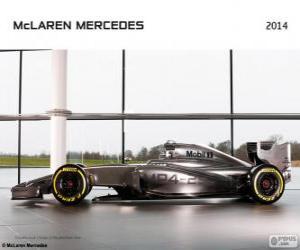 Rompicapo di McLaren MP4-29 - 2014 -