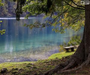 Rompicapo di Meditazione sul lago