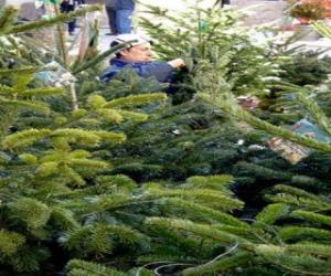 Rompicapo di Mercatino di alberi di Natale