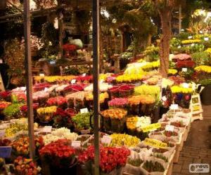 Rompicapo di Mercato dei fiori, Amsterdam, Paesi Bassi