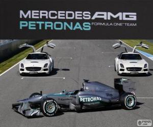 Rompicapo di Mercedes AMG F1 W04 - 2013 -