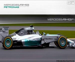 Rompicapo di Mercedes AMG F1 W05 - 2014 -