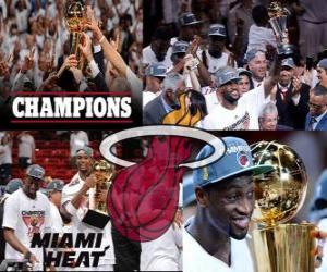 Rompicapo di Miami Heat Campione NBA 2012