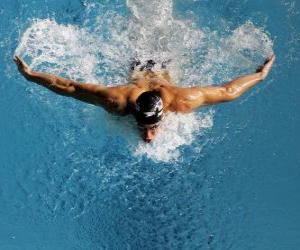 Rompicapo di Michael Phelps nuotarono