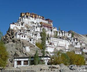 Rompicapo di Monastero di Hemis, India