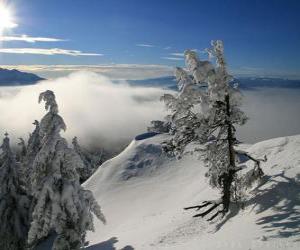 Rompicapo di Montagne nevose di Poiana Brasov, Romania