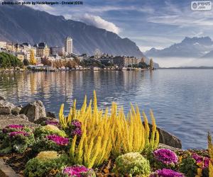 Rompicapo di Montreux, Svizzera