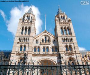 Rompicapo di Museo di storia naturale, Londra