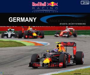 Rompicapo di M.Verstappen GP Germania 2016