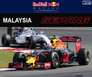 Rompicapo di M.Verstappen, GP Malesia 2016