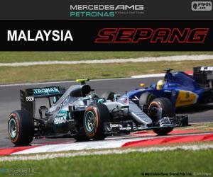 Rompicapo di N. Rosberg, GP di Malesia 2016