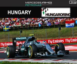 Rompicapo di N. Rosberg GP di Ungheria 2016