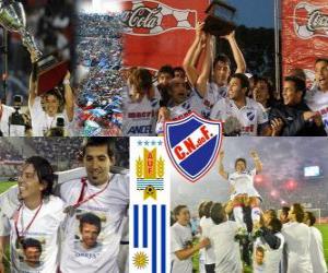 Rompicapo di Nacional de Montevideo, campione uruguaiano di calcio del 2010-2011