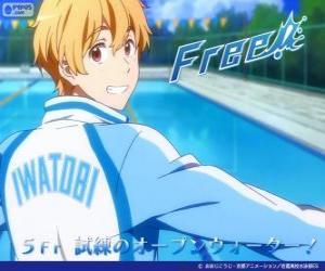 Rompicapo di Nagisa con la tuta del club di nuoto Iwatobi