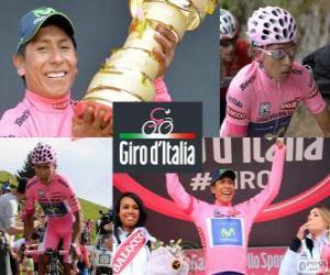 Rompicapo di Nairo Quintana, Giro 2014