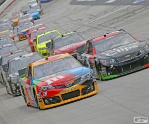 Rompicapo di NASCAR Sprint Cup Series