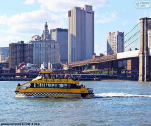 Rompicapo di New York Water Taxi