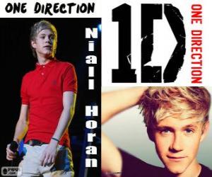 Rompicapo di Niall Horan, One Direction