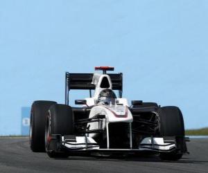 Rompicapo di Nick Heidfeld - Sauber - Interlagos 2010