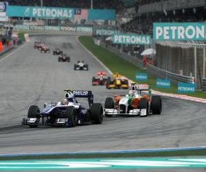 Rompicapo di Nico Hülkenberg - Williams - Sepang 2010