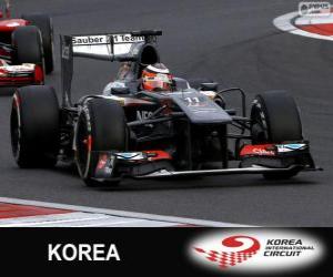 Rompicapo di Nico Hülkenberg - Sauber - Circuito internazionale di Corea, 2013