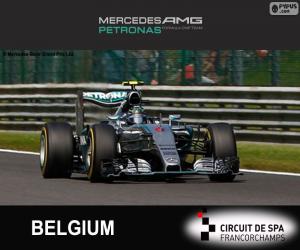Rompicapo di Nico Rosberg, GP Belgio 2015