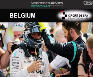 Rompicapo di Nico Rosberg, GP Belgio 2016