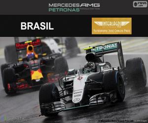 Rompicapo di Nico Rosberg, GP Brasile 2016