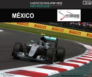 Rompicapo di Nico Rosberg, GP Messico 2016