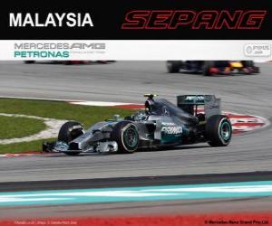 Rompicapo di Nico Rosberg - Mercedes - Gran Premio della Malesia 2014, 2º classificato